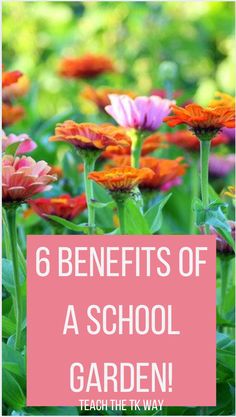 colorful flowers with text that reads 6 benefits of a school garden teach it's way