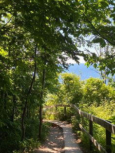 a wooden path in the woods with trees on both sides