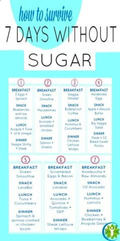 Blueberry Snacks, Fat Burning Meal Plan, Workout Morning, Detox Kur, Veggie Breakfast, Baking Soda Beauty Uses, Resep Diet, Low Carb Diets, Fat Loss Program