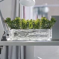 a laptop computer sitting on top of a desk next to a planter filled with plants