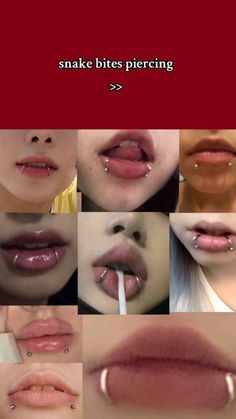 many different images of lips with piercings on them and the words, snake bites piercing