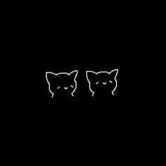 two black cats sitting side by side in the dark