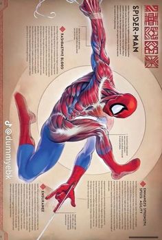 a spiderman poster with the words anatomy and description on it's back side