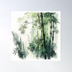 watercolor painting of bamboo trees in the forest poster