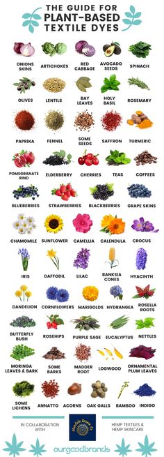 a poster showing different types of flowers