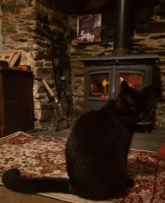 a black cat sitting on top of a rug next to a fire in a fireplace