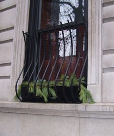 a window with iron bars and plants growing out of it