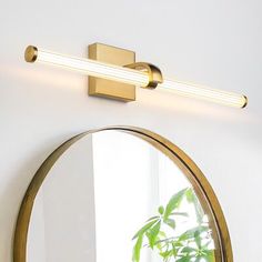 a bathroom mirror sitting on top of a wall next to a potted green plant