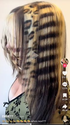 Blonde Over Dark Hair, Hair Dye That Goes With Brown Hair, Cheshire Cat Hair Hairstyles, Fun Bleached Hair Ideas, Blue Hair With Raccoon Tail, Curly Racoon Hair, Cheetah Hair Dye, Dyed Hair With Highlights, Cool Dark Hair Color Ideas