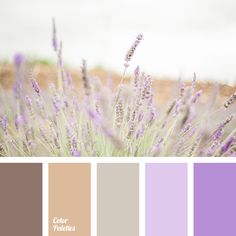 the color scheme is lavender and brown