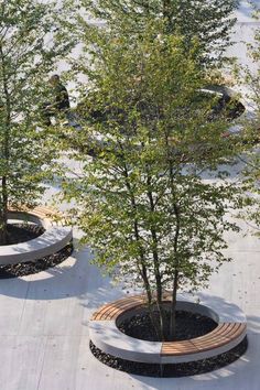 two wooden benches sitting next to each other near trees