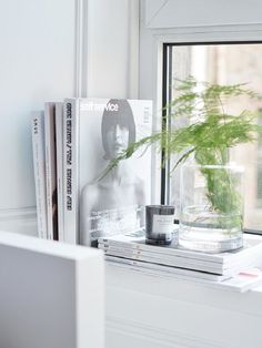 a window sill filled with books and a plant