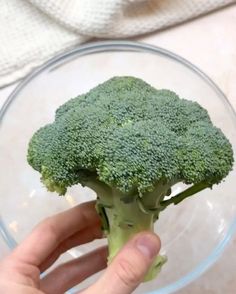 a hand holding a piece of broccoli in a glass bowl on a counter