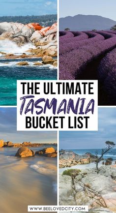 the ultimate tasmania bucket list with pictures of lavenders and rocks in the foreground