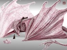 an artistic drawing of a pink dragon with its wings spread out and the tail extended