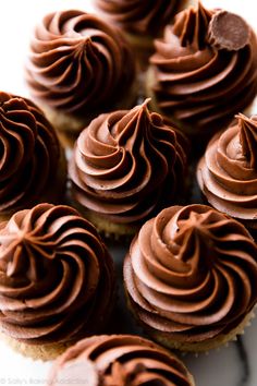 chocolate cupcakes with frosting on a white plate