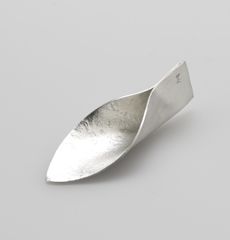 a silver spoon sitting on top of a table