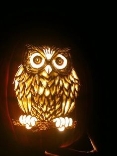 an owl carved into a pumpkin in the dark