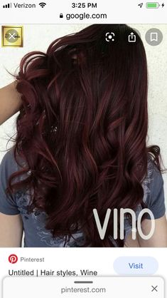 Deep Wine Hair Color, Pelo Color Borgoña, Pelo Color Vino, Wine Hair Color, Wine Hair, Hair 2024