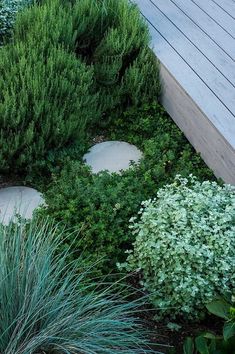 a garden with plants and rocks in the ground next to a wooden decking area