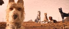 a group of dogs sitting on top of a dirt field next to each other in front of a sky background