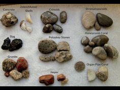 the rocks are labeled with their names