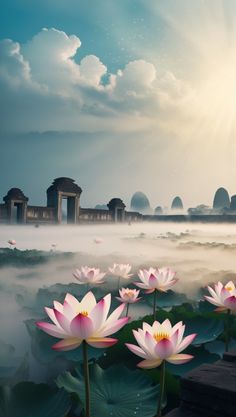 pink lotuses in the water with an ancient temple in the background and sunbeams