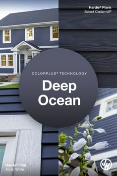 a blue house with the words, colorplus technology deep ocean