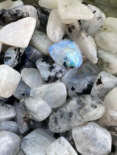 What you’ll receive: one glass vial full of 100% Genuine moonstone chips. A+ quality, blue flash pieces rainbow moonstone 🦄A stone for “new beginnings”, Moonstone is a stone of inner growth and strength. This powerful crystal connects with one’s emotional body and current mental state. Rainbow Moonstone is a powerful ally in helping maintain mental clarity throughout the day and assists in shielding your aura from negative vibrations attempting to attach onto you. By helping keep your mind clea Moonstone Aesthetic Wallpaper, Moon Stone Aesthetic, Moonstone Natural Stones Healing Crystals, Moonstone Wallpaper, Healing Stones And Crystals, Gravel Stones, Inner Growth