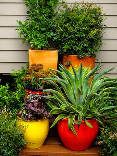 several potted plants sitting on top of each other