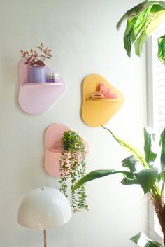 three plants are hanging on the wall next to a potted plant and a lamp