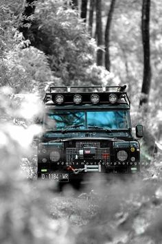 a black and white photo of a jeep driving through the woods