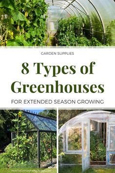 collage of different types of greenhouses Winter Homesteading, Diy Greenhouses, Passive Solar Greenhouse, Herbs Growing, Solar Greenhouse, Hoop House, Homesteading Ideas, Large Greenhouse, Harvesting Herbs