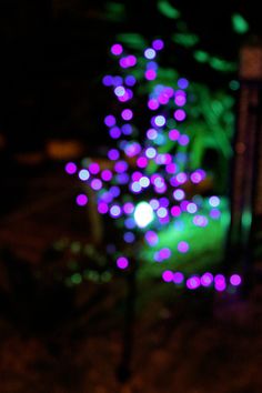 purple and green christmas lights in the dark