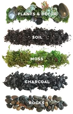 different types of plants and rocks on a white background with the words soil, moss, chacoal, rocks