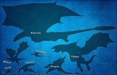 a blueprint map of different types of dinosaurs