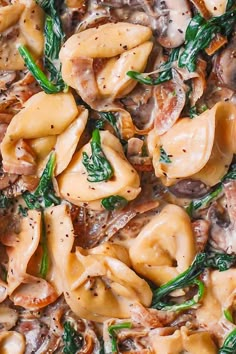 pasta with spinach and mushrooms in a white sauce