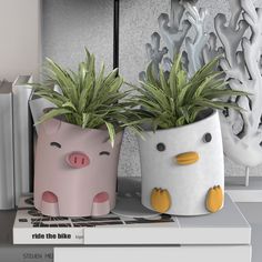 two planters that have plants in them