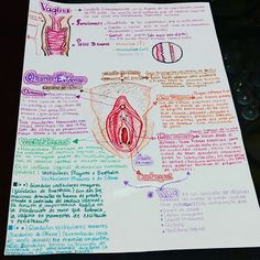 Social Care, 1st Year, Anatomy, Medicine, Bullet Journal, Quick Saves