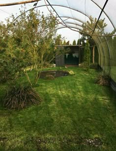 the inside of a green house with grass and trees in it's back yard