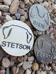 three wooden signs that say, sadie, steetson and liberty on some rocks