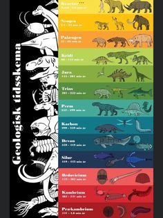 an illustrated poster with different types of dinosaurs in each color scheme, including the names and numbers