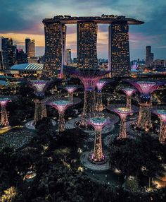 an aerial view of the gardens by night in singapore, with skyscrapers lit up