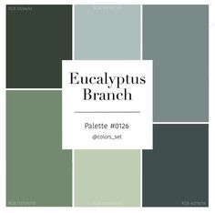 the eucalyptusplus branch color scheme is shown in shades of green, gray and white