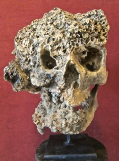 a skull made out of rocks sitting on top of a wooden stand in front of a red wall