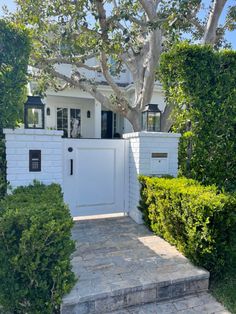 a white gated entrance to a house surrounded by bushes and trees with a tree in the background