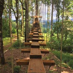 a wooden walkway in the middle of a forest filled with lots of trees and hanging ropes