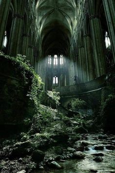 the inside of a cathedral with moss growing on the rocks and water running through it