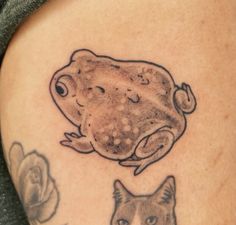 Tiny.toad on Instagram Frog In Water Tattoo, Small Toad Tattoo, Tiny Toad Tattoo, Bull Frog Tattoo, Cute Toad Tattoo, Old School Frog Tattoo, Usagi Tattoo, Tadpole Tattoo, Tiny Frog Tattoo