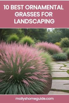 the top 10 best ornamental grasses for landscaping